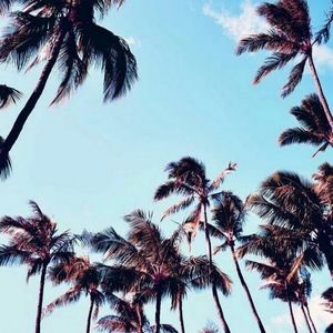 Meet your Posher, Faith